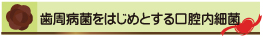 歯周病菌をはじめとする口腔内細菌