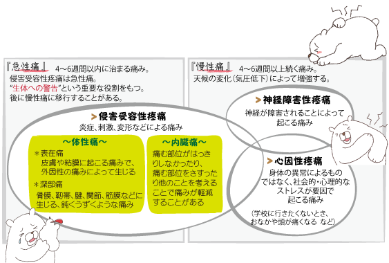 「痛み」分類図