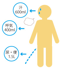 １日に排出する水分量