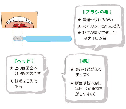 歯ブラシを選ぶポイント