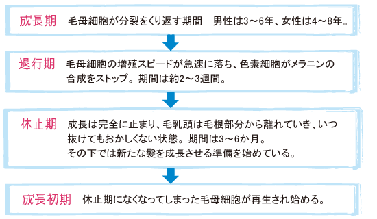 各周期の期間と状態