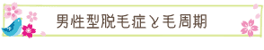 男性型脱毛症と毛周期