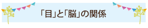 「目」と「脳」の関係