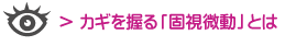 カギを握る「固視微動」とは