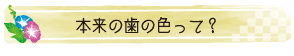 本来の歯の色って？