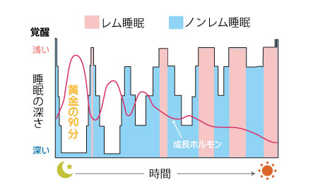 睡眠の時間経過と深さの変動グラフ