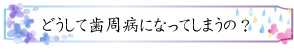 どうして歯周病になってしまうの？