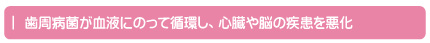 歯周病菌が血液にのって循環し、心臓や脳の疾患を悪化