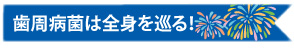 歯周病菌は全身を巡る！