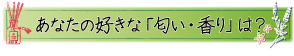 あなたの好きな「匂い・香り」は？