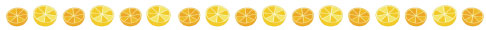 柑橘類の区切り絵
