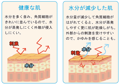 健康な肌と水分が減少した肌