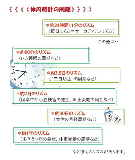 体内時計の周期