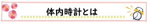 体内時計とは