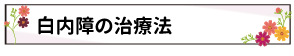 白内障の治療法