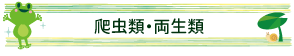 爬虫類・両生類