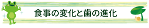 食事の変化と歯の進化