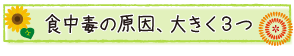 食中毒の原因、大きく３つ